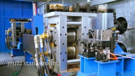 Flat and Shaped Wire Cold Rolling Mill